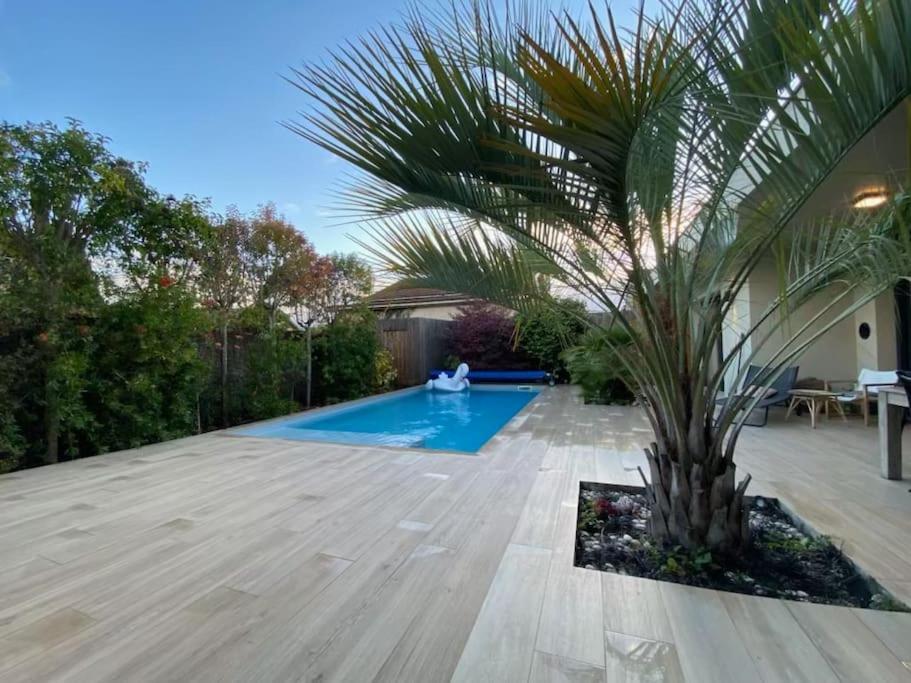 Maison D Architecte Bruges/Piscine Chauffee/Tram D ภายนอก รูปภาพ
